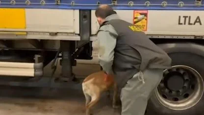 Şanlıurfa dahil 75 ilde narkotik operasyonu: 958 kilo uyuşturucu ele geçirildi