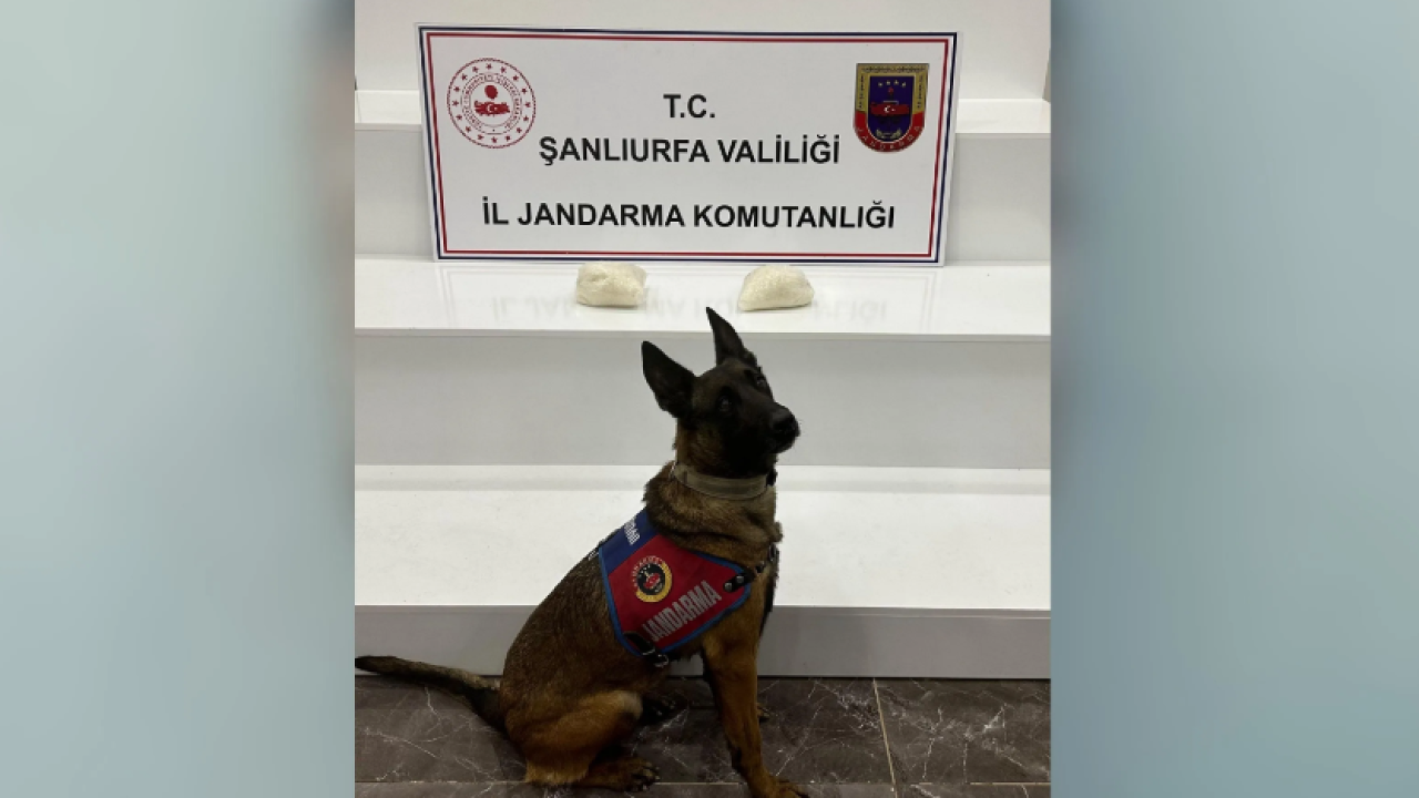 Şanlıurfa’da 2 kilo sentetik uyuşturucu madde ele geçirildi