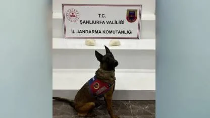 Şanlıurfa’da 2 kilo sentetik uyuşturucu madde ele geçirildi