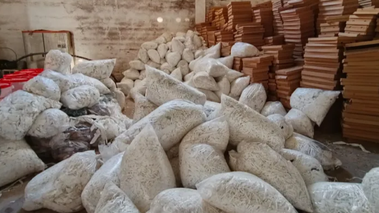 Şanlıurfa’da 40 milyon bandrolsüz boş makaron ele geçirildi