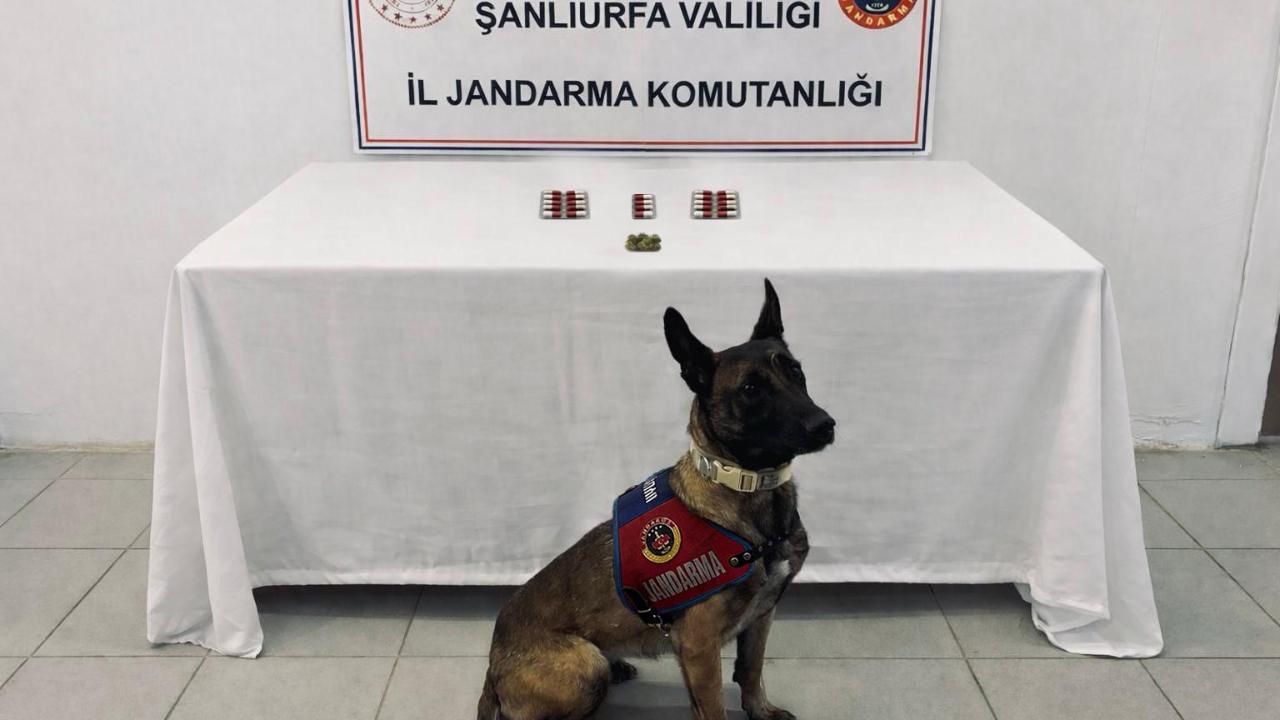 Şanlıurfa’da jandarmadan 4 ilçede operasyon: 8 şahsa adli işlem