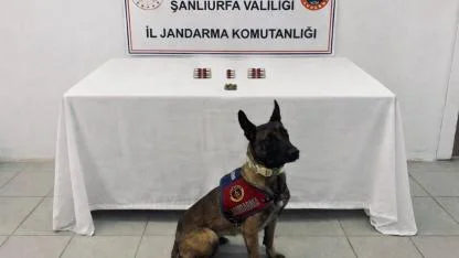 Şanlıurfa’da jandarmadan 4 ilçede operasyon: 8 şahsa adli işlem