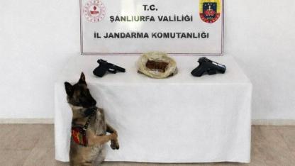 Şanlıurfa'da operasyon: 1 gözaltı