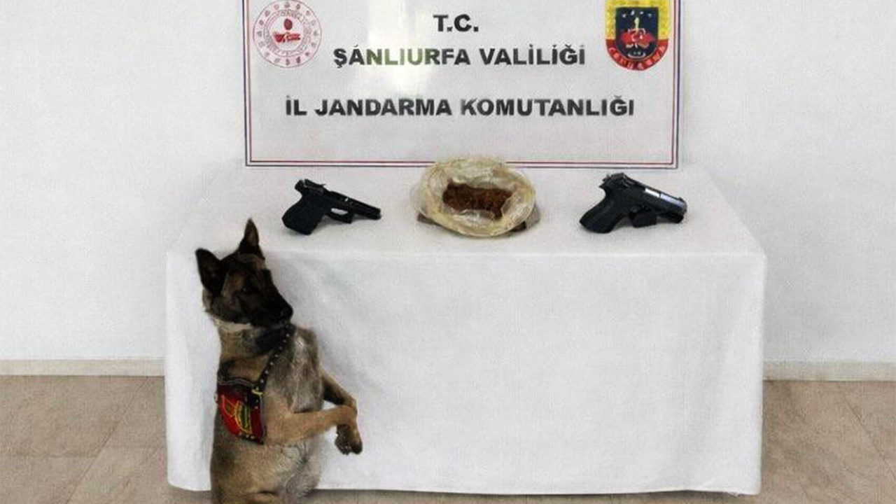 Şanlıurfa'da operasyon: 1 gözaltı