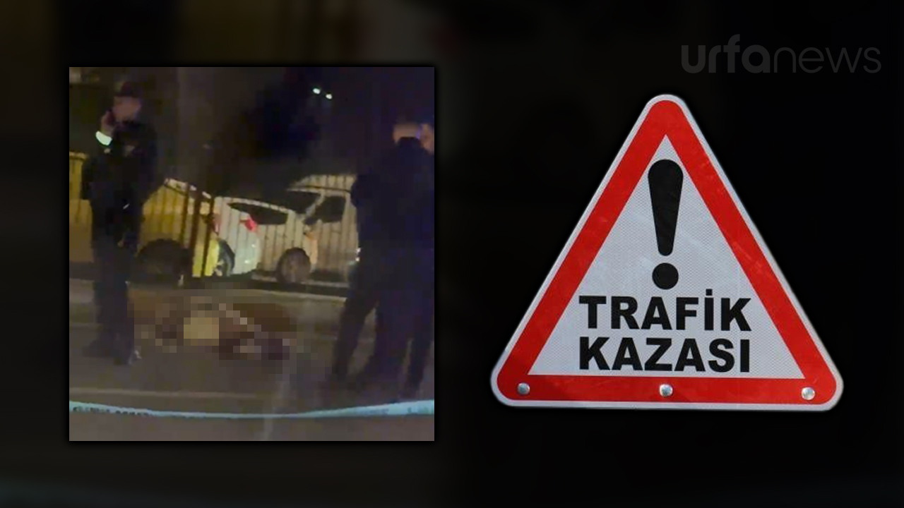 Şanlıurfa'da otomobilin çarptığı yaya hayatını kaybetti