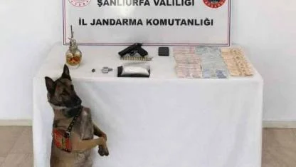 Şanlıurfa’da uyuşturucu operasyonu: 1 gözaltı