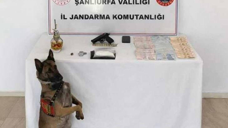 Şanlıurfa’da uyuşturucu operasyonu: 1 gözaltı