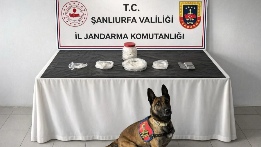 Şanlıurfa’da uyuşturucu operasyonu: 1 gözaltı