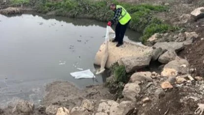 Viranşehir’de larva ile mücadele başladı