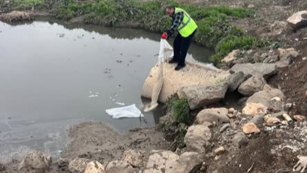 Viranşehir’de larva ile mücadele başladı