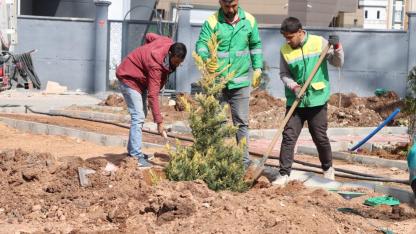Karaköprü’de parklar yaz sezonuna hazırlanıyor