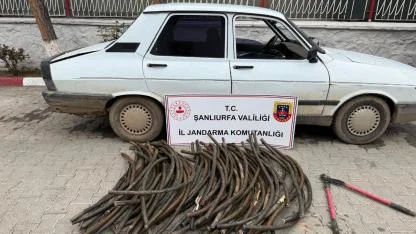 Şanlıurfa’da 1 milyonluk zarar: 1 gözaltı