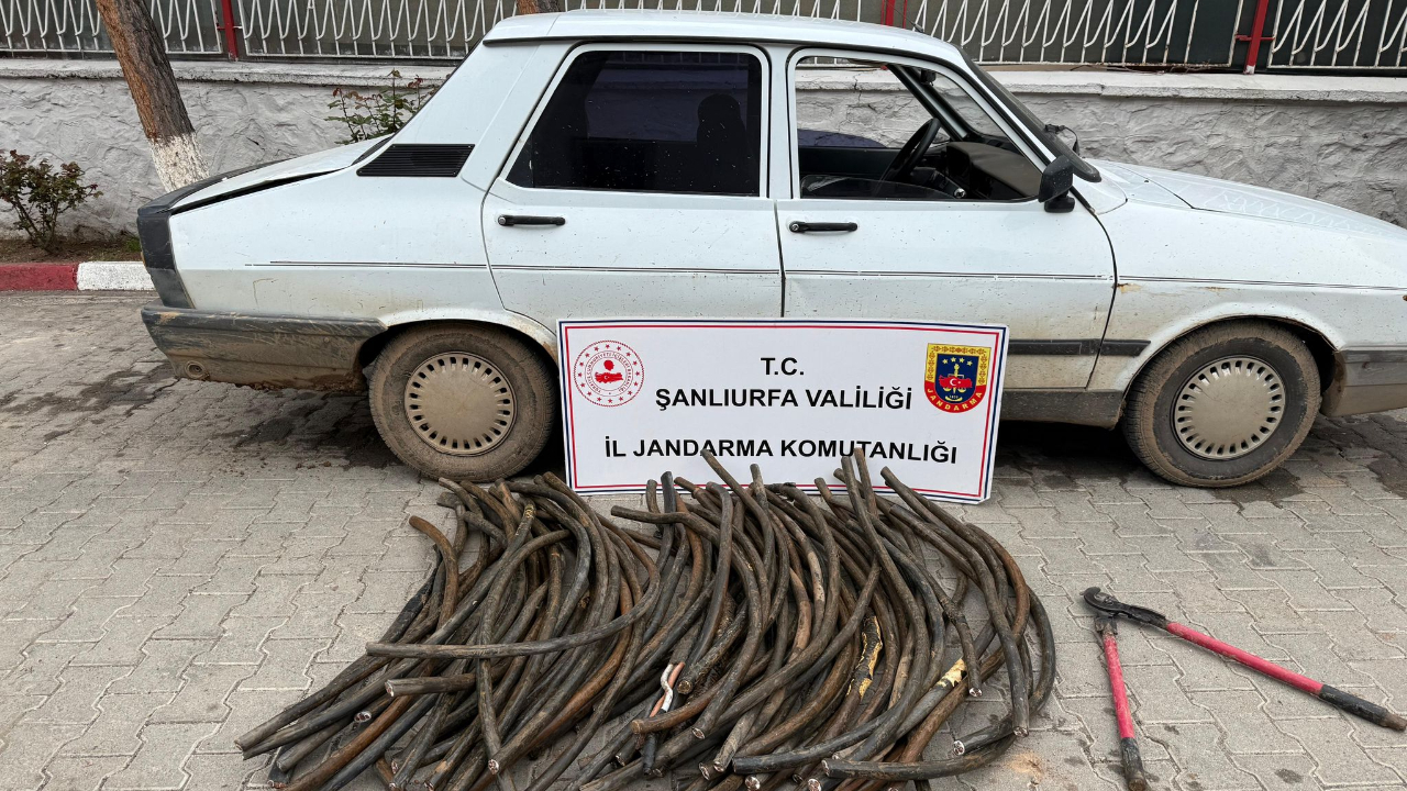 Şanlıurfa’da 1 milyonluk zarar: 1 gözaltı