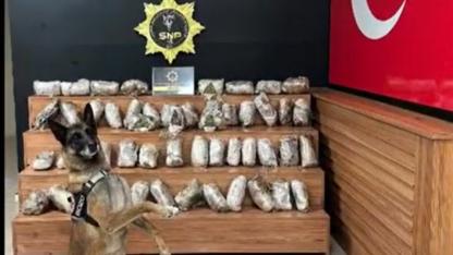 Şanlıurfa’da operasyonda kilolarca skunk maddesi ele geçirildi