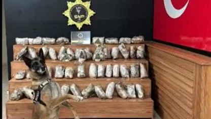 Şanlıurfa’da operasyonda kilolarca skunk maddesi ele geçirildi