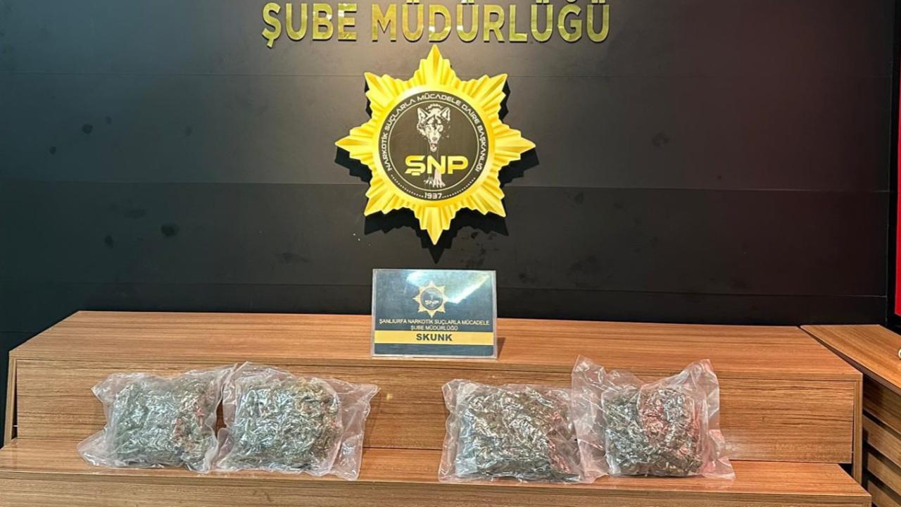 Şanlıurfa’da operasyonlarda 2 bin 150 gram skunk maddesi ele geçirildi