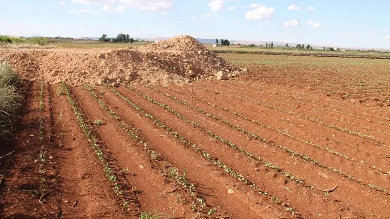 Şanlıurfa'da tarım arazilerine izinsiz yapılaşmaya sıkı denetim