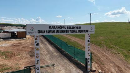 Karaköprü’de sokak hayvanlarının doğal yaşam alanı güçlendiriliyor