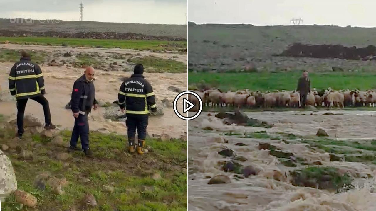 Şanlıurfa'da çoban ve sürüsü derede mahsur kaldı