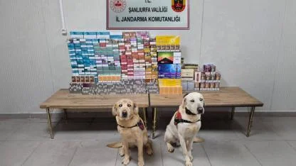 Şanlıurfa’da kaçak tütün ve alkol operasyonu: 27 şüpheliye adli işlem