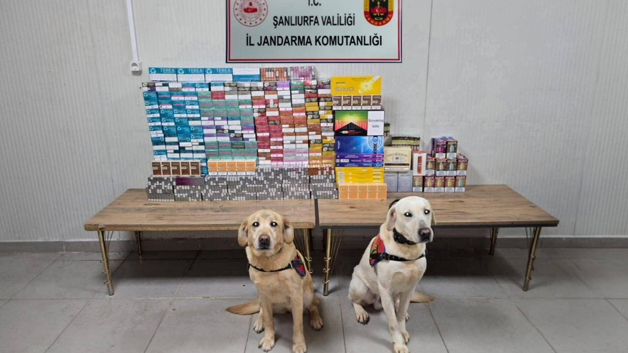 Şanlıurfa’da kaçak tütün ve alkol operasyonu: 27 şüpheliye adli işlem