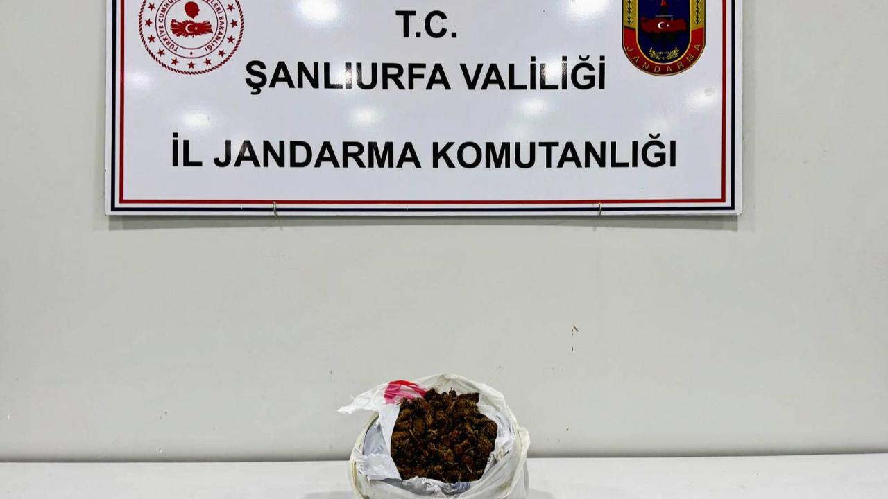 Viranşehir’de uyuşturucu operasyonu: 2 şahsa adli işlem