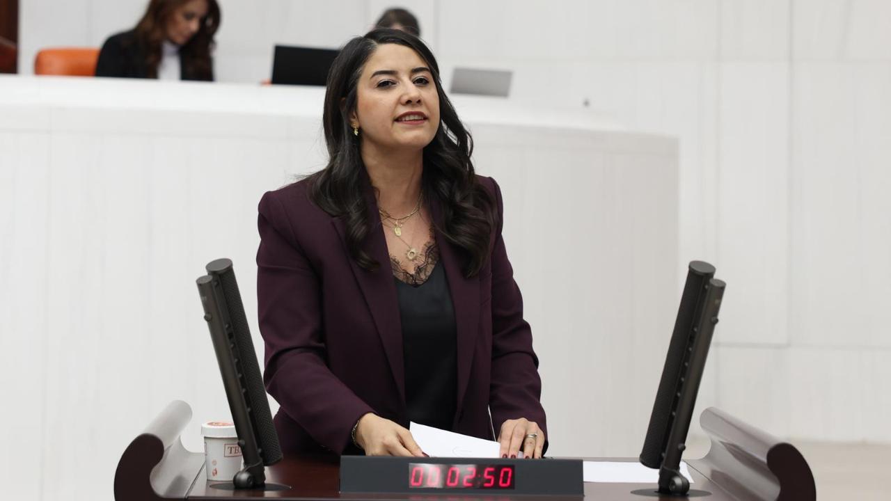 DEM Partili Ayan’dan Şanlıurfa’daki felaket için çağrı