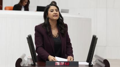 DEM Partili Ayan’dan Şanlıurfa’daki felaket için çağrı