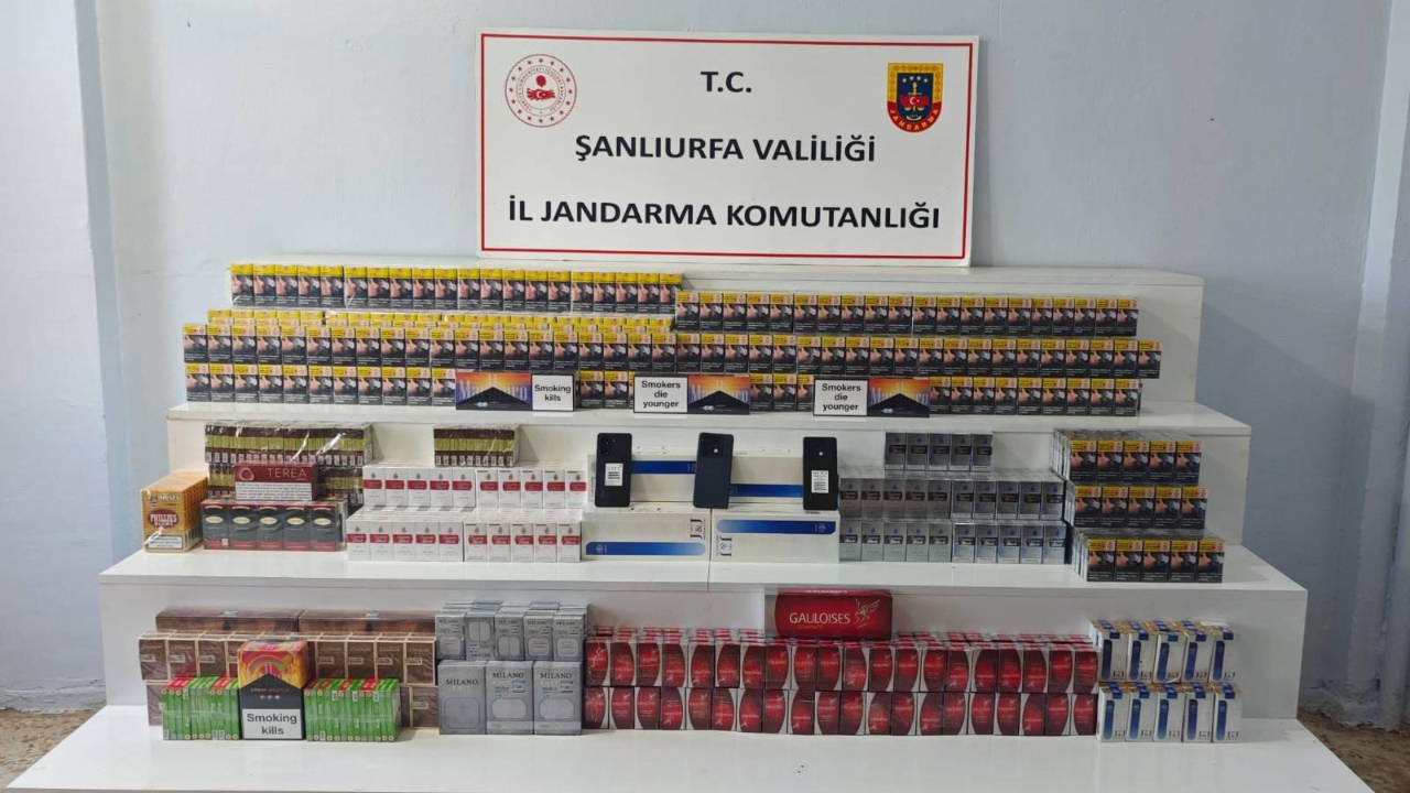 Jandarmadan kaçakçılara geçit yok: Viranşehir’de 38 kişiye yasal işlem