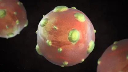 Sağlık Bakanlığı'ndan 'hantavirüs' açıklaması!