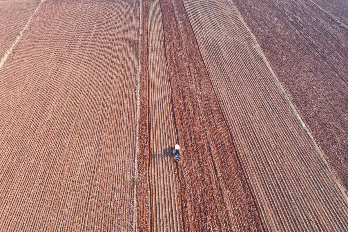 Toprak ile su kaybı, gıdayı ve geleceği doğrudan tehdit ediyor