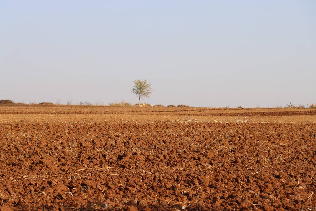 Toprak ile su kaybı, gıdayı ve geleceği doğrudan tehdit ediyor